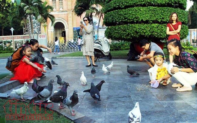 TP Hồ Chí Minh thanh bình trong ngày đầu năm mới 2018 ảnh 1